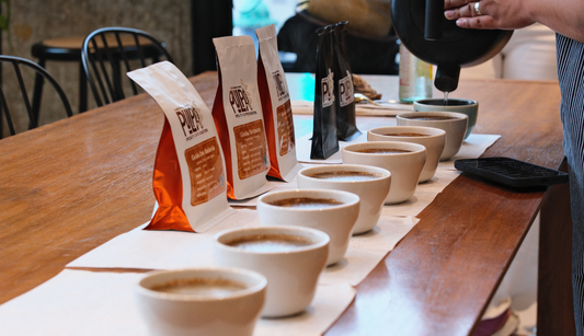 Geisha and Specialty Coffees from Panama Tasting