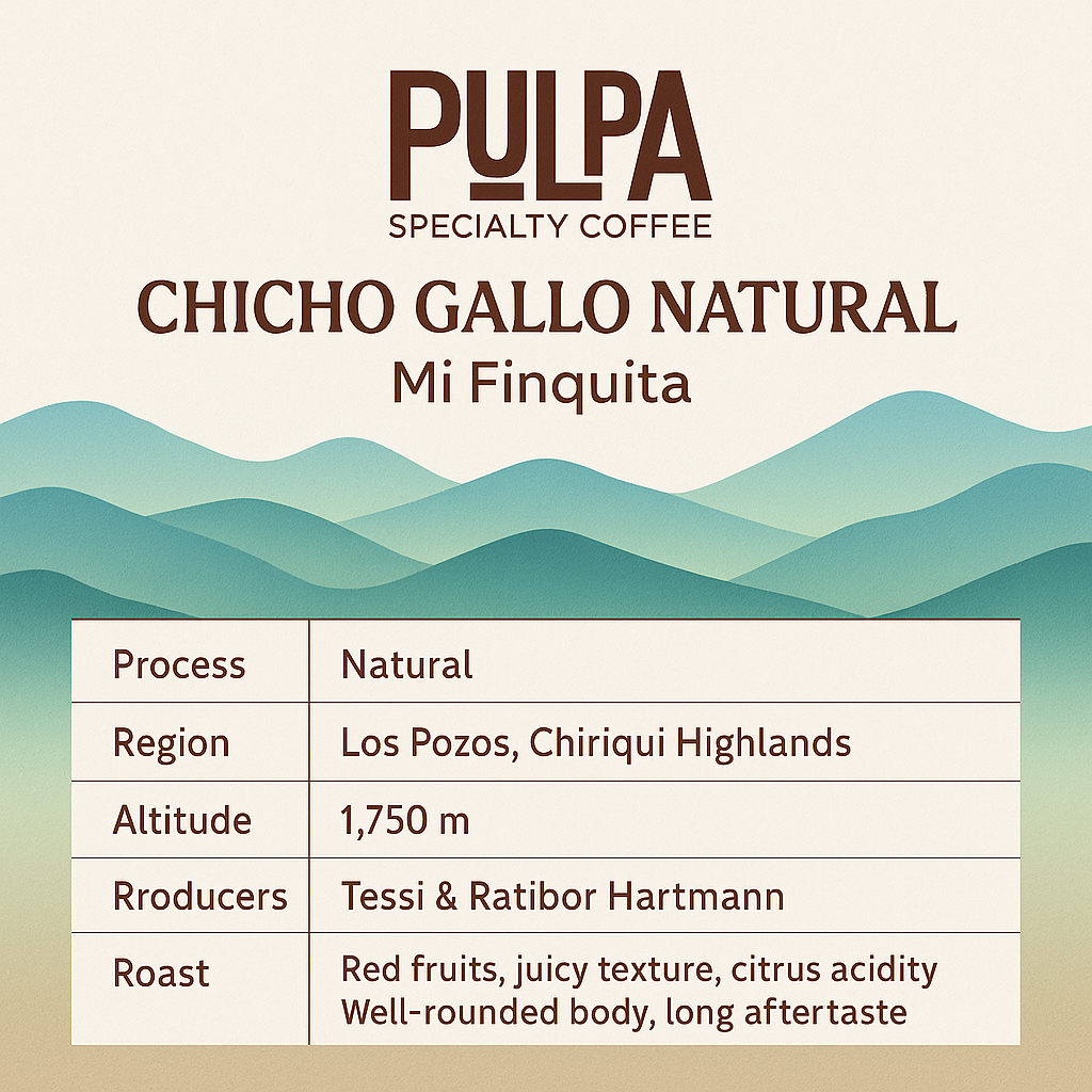 Chicho Gallo Natural Mi Finquita – Panamanian Specialty Coffee