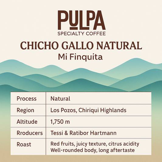 Chicho Gallo Natural Mi Finquita – Panamanian Specialty Coffee
