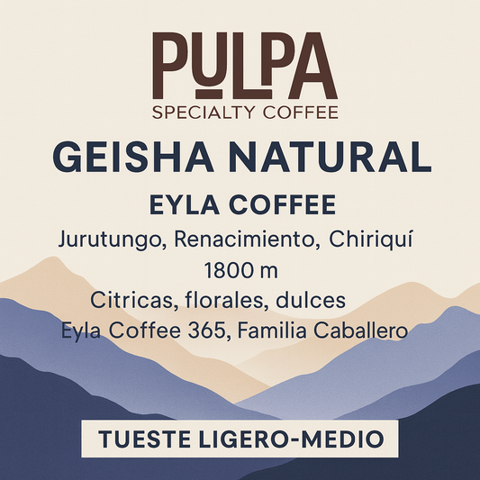 Geisha Natural Jurutungo